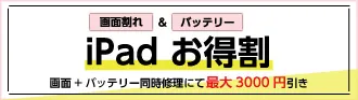 iPad割