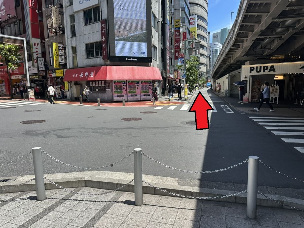 「食堂 長野屋」と高架の間の道を進みます。
