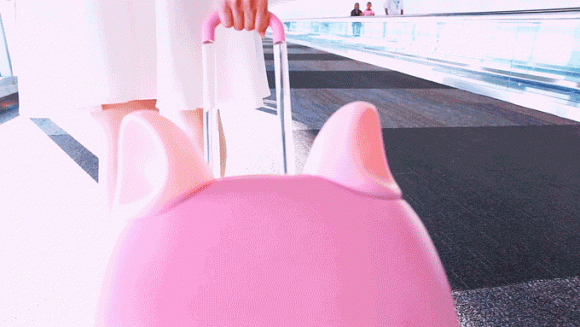 ねこみみスーツケースがかわいい…！