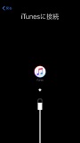 iPhoneの復元作業