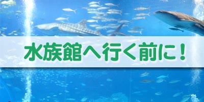 名古屋港水族館