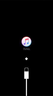 iTunesに繋げる表示が出た場合……