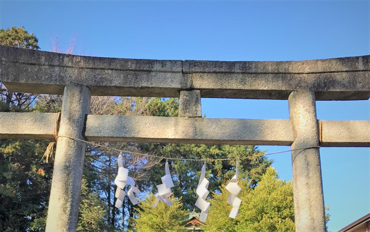 姉弟喧嘩はほどほどに……