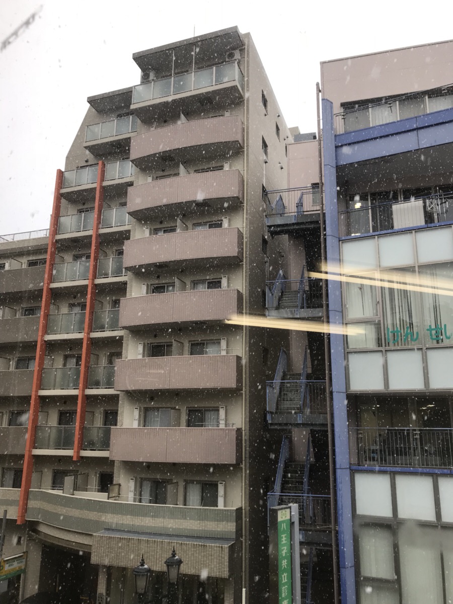雪です！！！