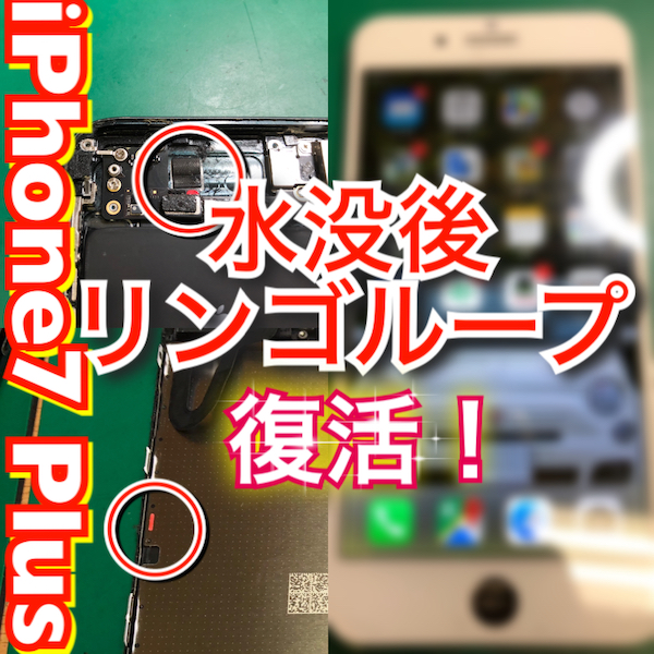 栄よりお越し　iPhone7 Plusの水没リンゴループ