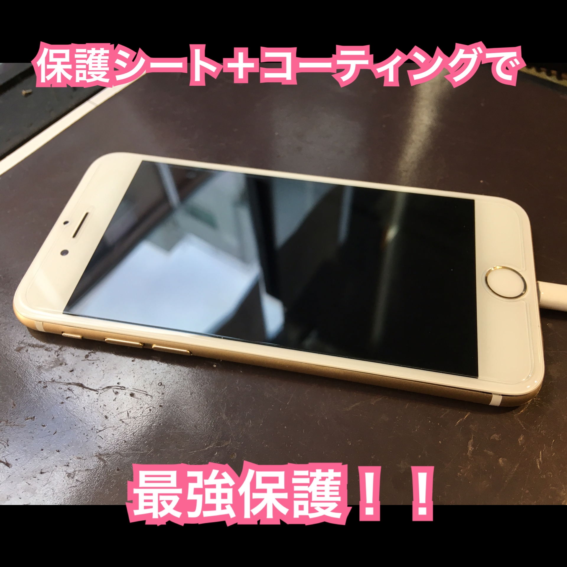 ガラスコーティングはじめました。