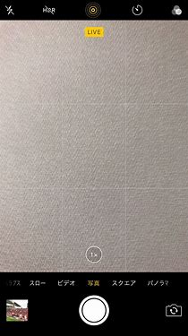 iPhoneで撮った「ライブフォト」を一見ふつうの写真にする方法 