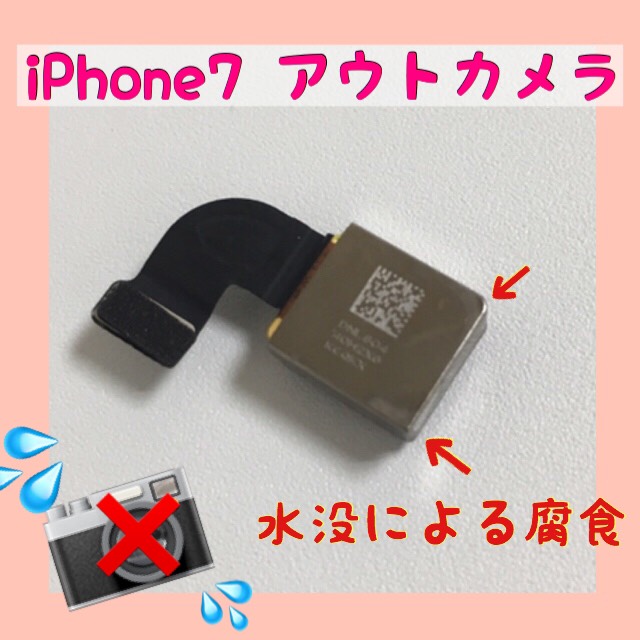 世田谷区　砧よりご来店！