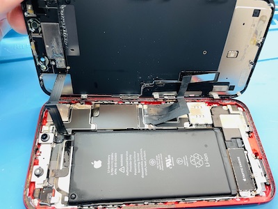 iPhoneXR水没して高温注意/リンゴループの症状