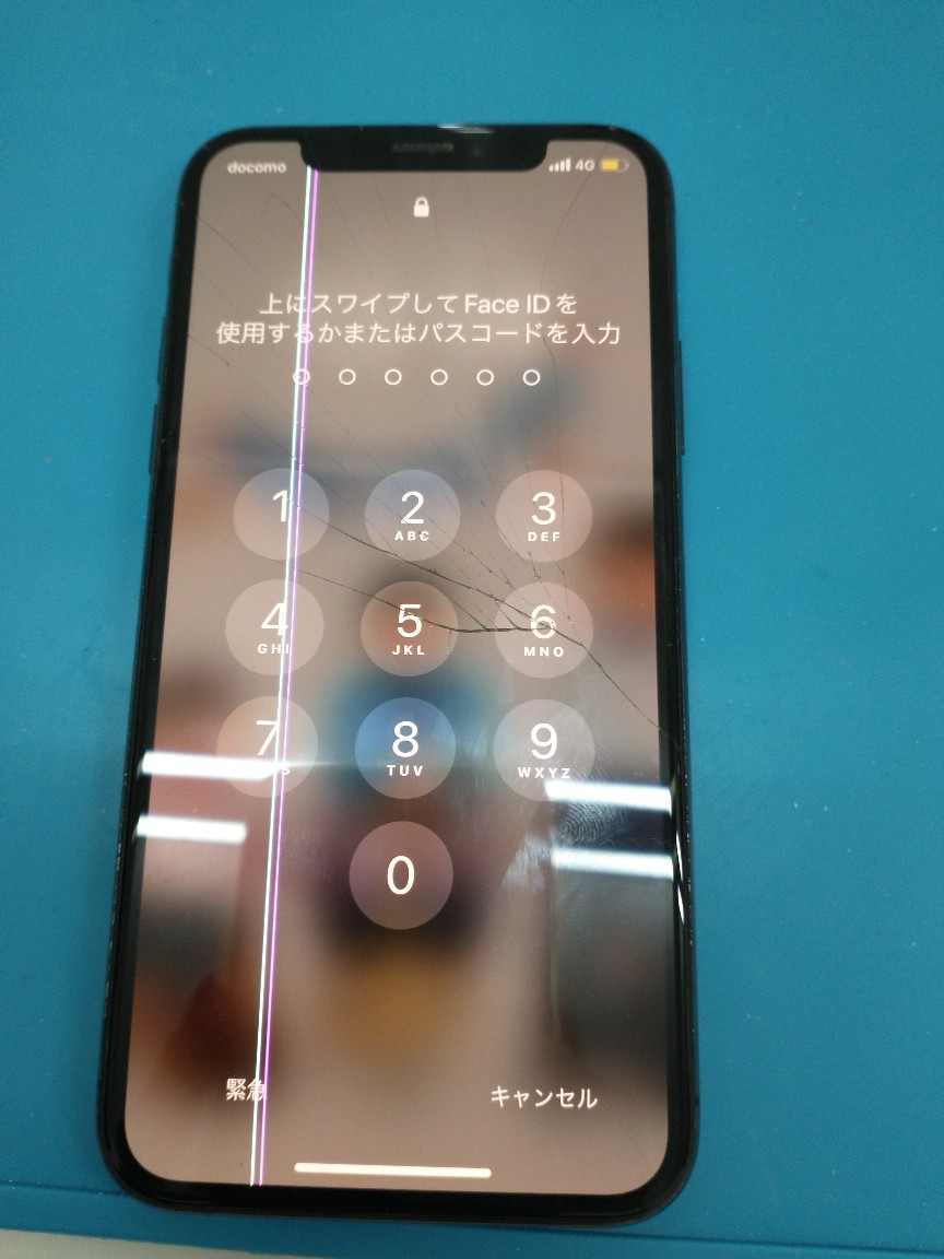 お気軽にお問合せください♪
