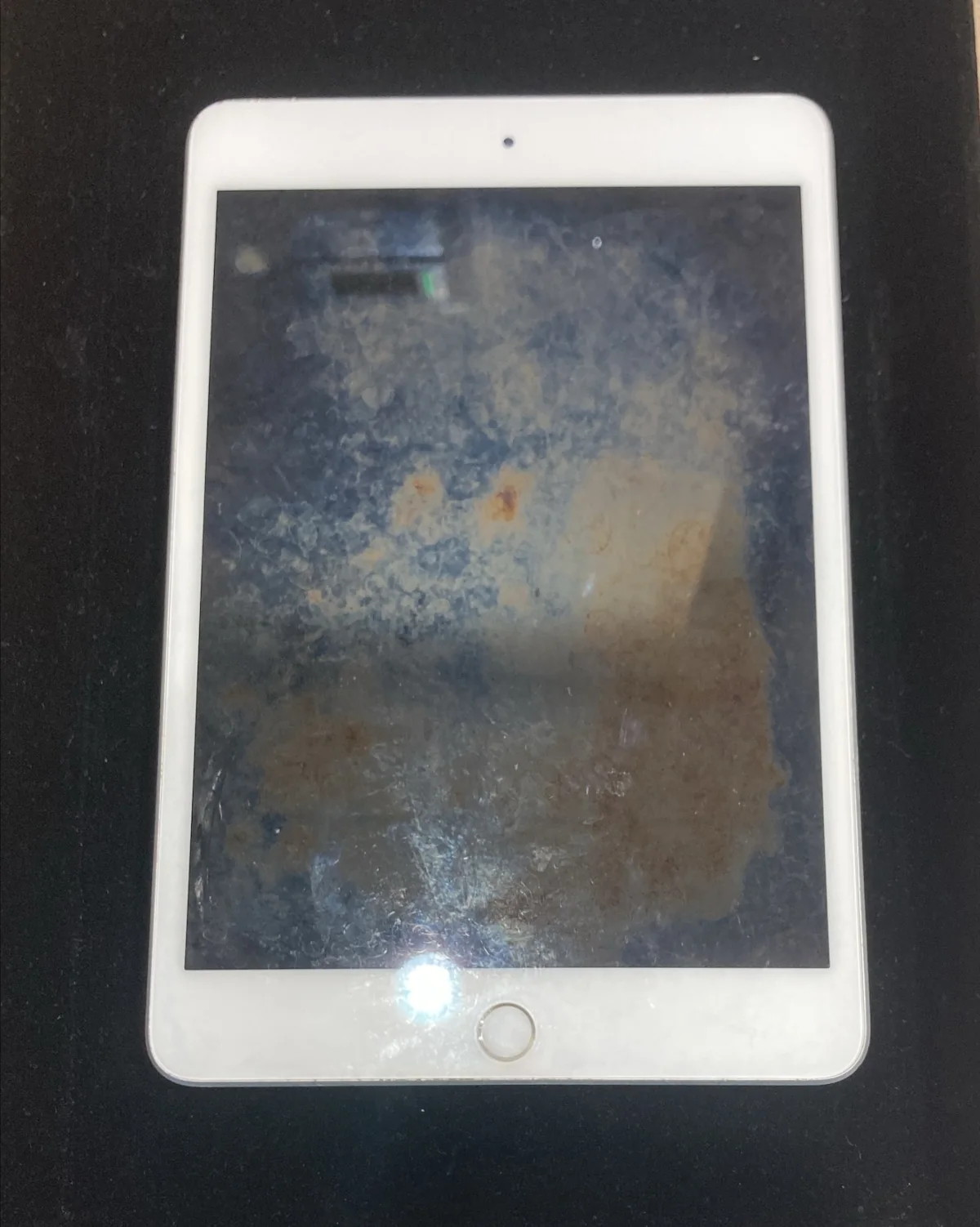 【中野店】iPad mini 修理で画面暗転と水没対応