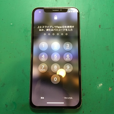 iPhoneX