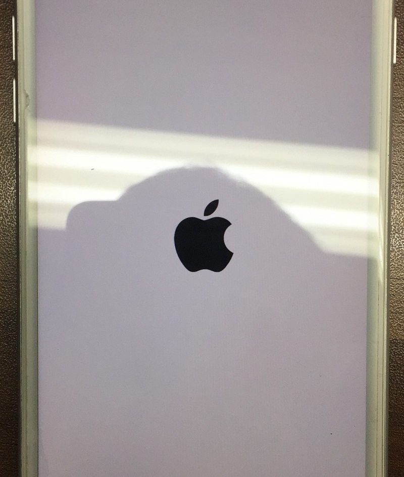 リンゴループ iPhone 起動時 画像