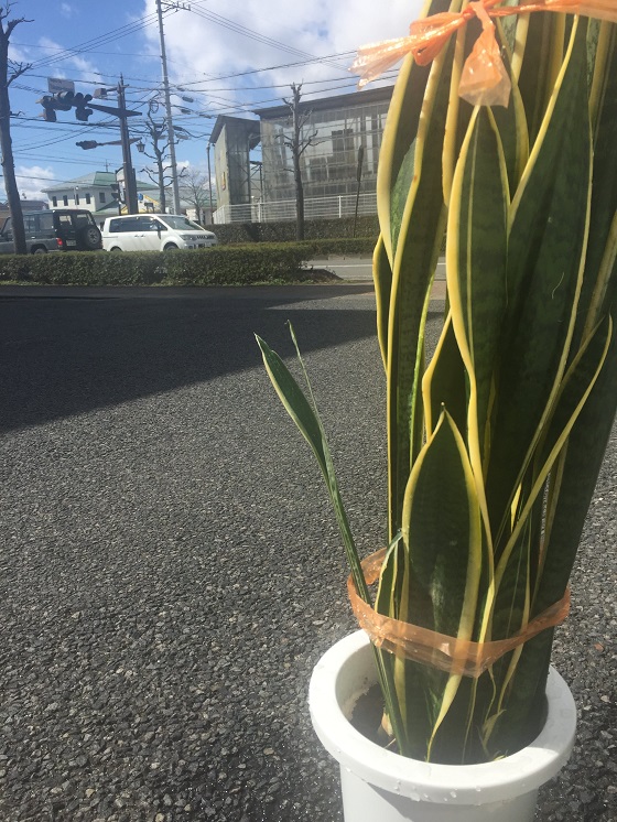 アイホン