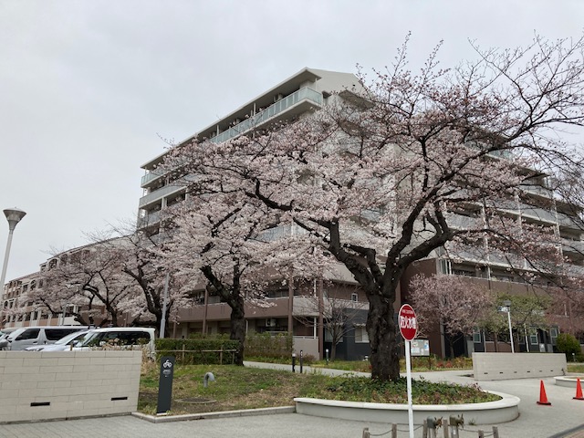 青戸第一団地0326